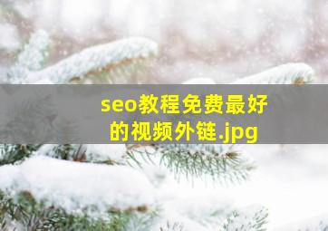 seo教程免费最好的视频外链
