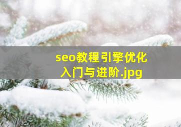 seo教程引擎优化入门与进阶