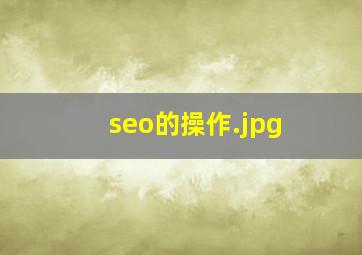 seo的操作
