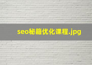 seo秘籍优化课程