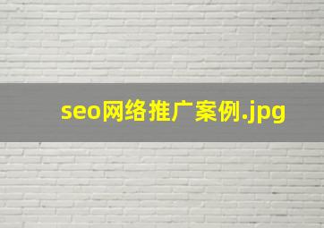 seo网络推广案例