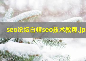 seo论坛白帽seo技术教程