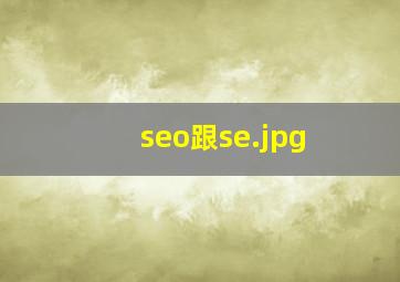 seo跟se