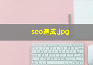 seo速成