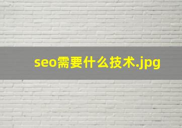 seo需要什么技术