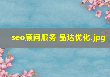 seo顾问服务 品达优化