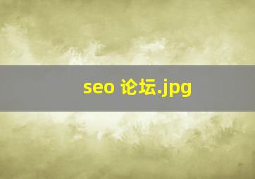 seo 论坛