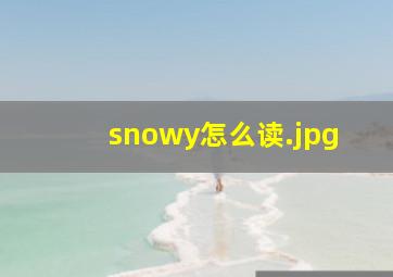 snowy怎么读